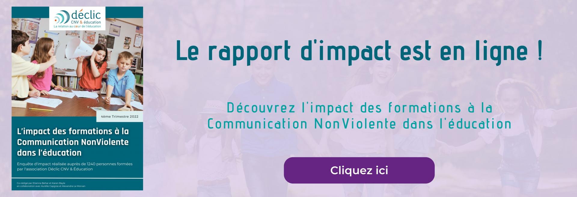 Rapport dimpact 